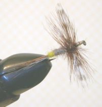 Fly Fishing: Adams Spent Wing Dry Fly