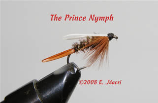 The Prince Nymph by Gene Macri